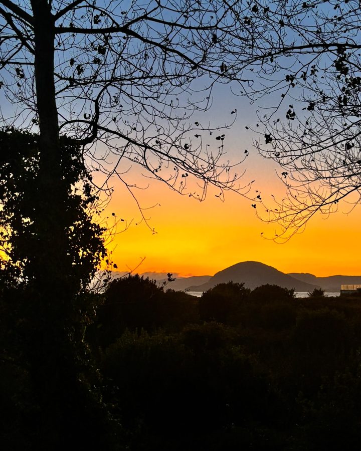 Atardecer entre árboles con un monte al fondo junto al mar